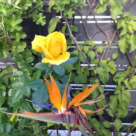 Casa Soleada - Beautiful Villa, Corner By Pools, Facilities,full Kitchen, 3 Terraces, Internet Tatil Evi *