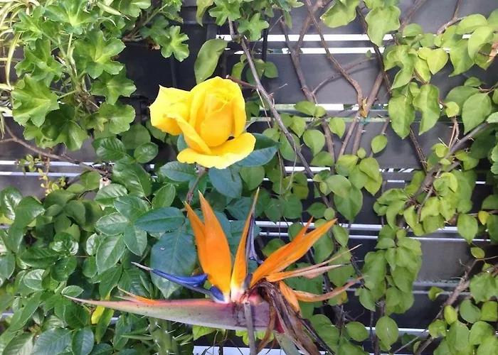 Casa Soleada - Beautiful Villa, Corner By Pools, Facilities,full Kitchen, 3 Terraces, Internet Semesterbostad *